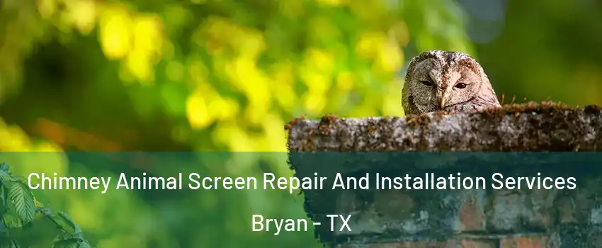  Chimney Animal Screen Repair And Installation Services Bryan - TX