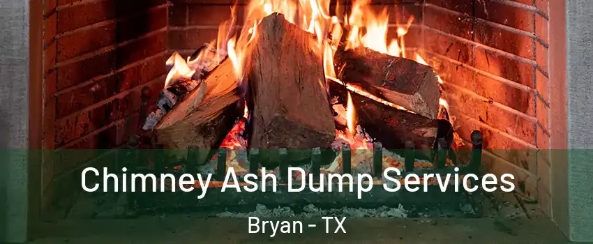  Chimney Ash Dump Services Bryan - TX