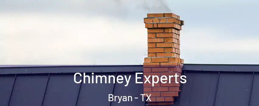 Chimney Experts Bryan - TX