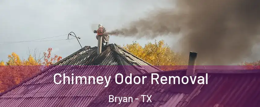  Chimney Odor Removal Bryan - TX