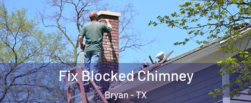  Fix Blocked Chimney Bryan - TX