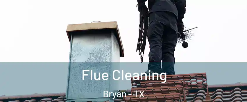  Flue Cleaning Bryan - TX