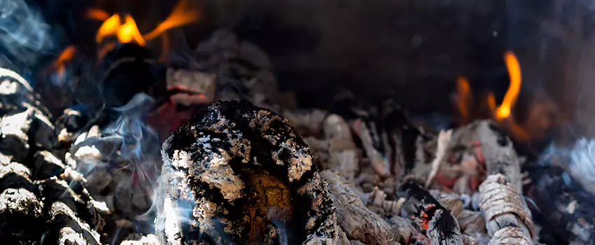 Creosote Removal Experts in Bryan, TX