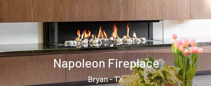  Napoleon Fireplace Bryan - TX